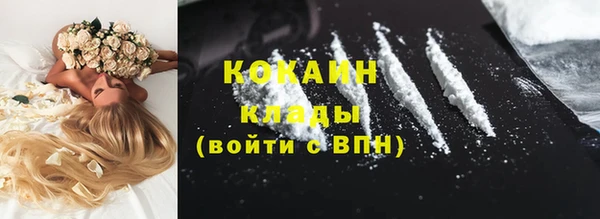 ECSTASY Елизово