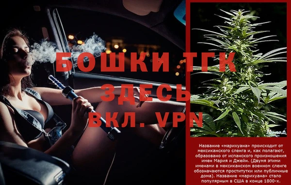 ECSTASY Елизово