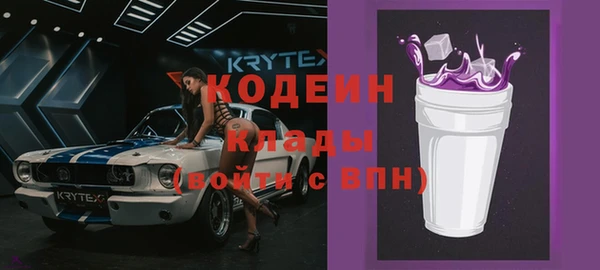 молекула духа Елабуга