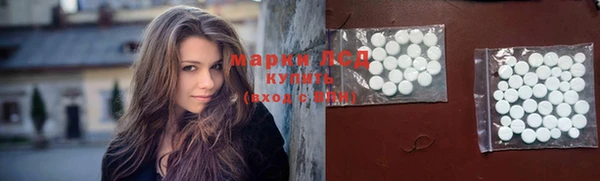 ECSTASY Елизово