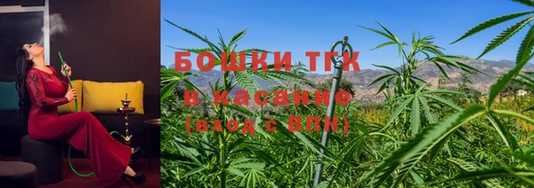 молекула духа Елабуга