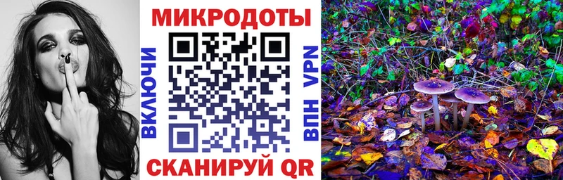 Псилоцибиновые грибы мухоморы Зерноград